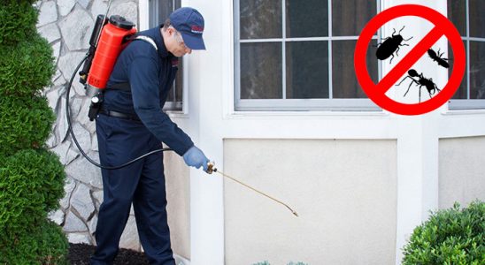 Hacılar Kene İlaçlama böcek ilaçlama ve haşere kontrolü — ilaclama-tr.com